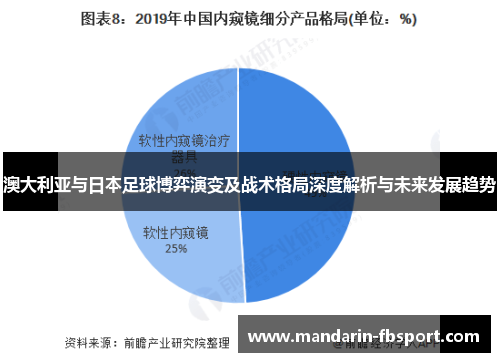 澳大利亚与日本足球博弈演变及战术格局深度解析与未来发展趋势