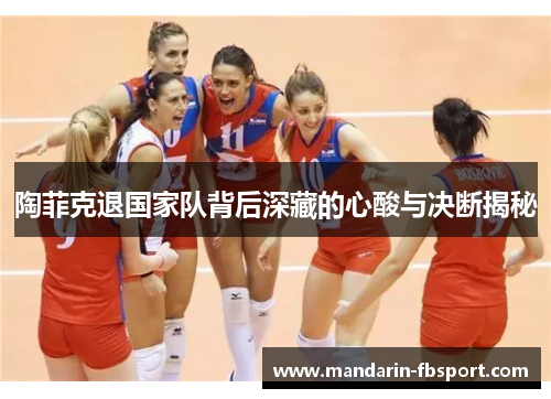 陶菲克退国家队背后深藏的心酸与决断揭秘 陶菲克退国家队背后深藏的心酸与决断揭秘
