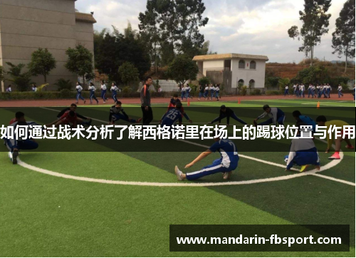 如何通过战术分析了解西格诺里在场上的踢球位置与作用
