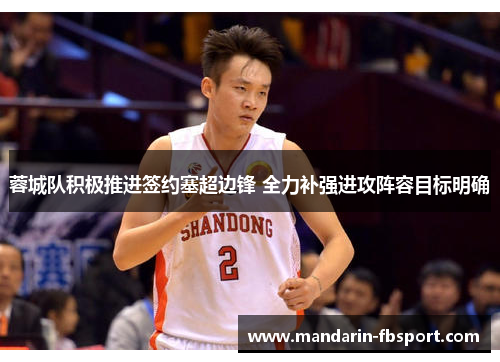 蓉城队积极推进签约塞超边锋 全力补强进攻阵容目标明确 蓉城队积极推进签约塞超边锋 全力补强进攻阵容目标明确