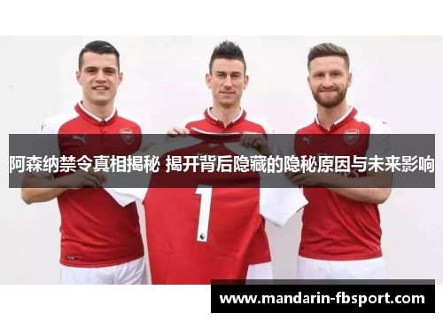 阿森纳禁令真相揭秘 揭开背后隐藏的隐秘原因与未来影响 阿森纳禁令真相揭秘 揭开背后隐藏的隐秘原因与未来影响