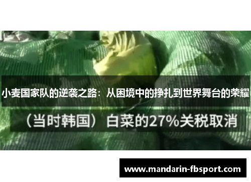 小麦国家队的逆袭之路:从困境中的挣扎到世界舞台的荣耀 小麦国家队的逆袭之路:从困境中的挣扎到世界舞台的荣耀