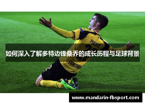 如何深入了解多特边锋桑乔的成长历程与足球背景