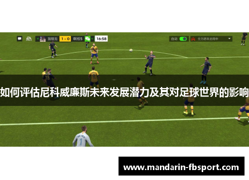 如何评估尼科威廉斯未来发展潜力及其对足球世界的影响