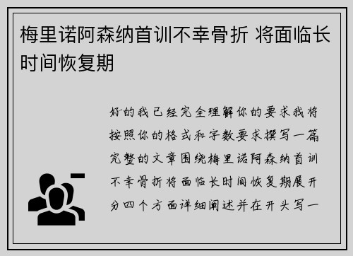 梅里诺阿森纳首训不幸骨折 将面临长时间恢复期